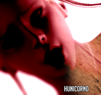 Hunicornd